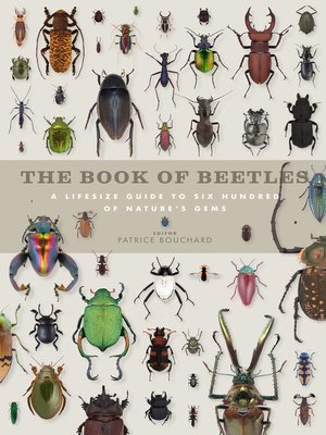 cover image of The Book of Beetles
